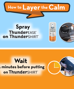 Calm Anywhere Bundle