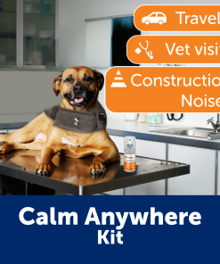 Calm Anywhere Bundle
