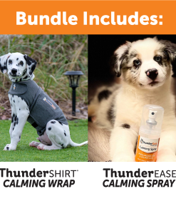 Calm Anywhere Bundle