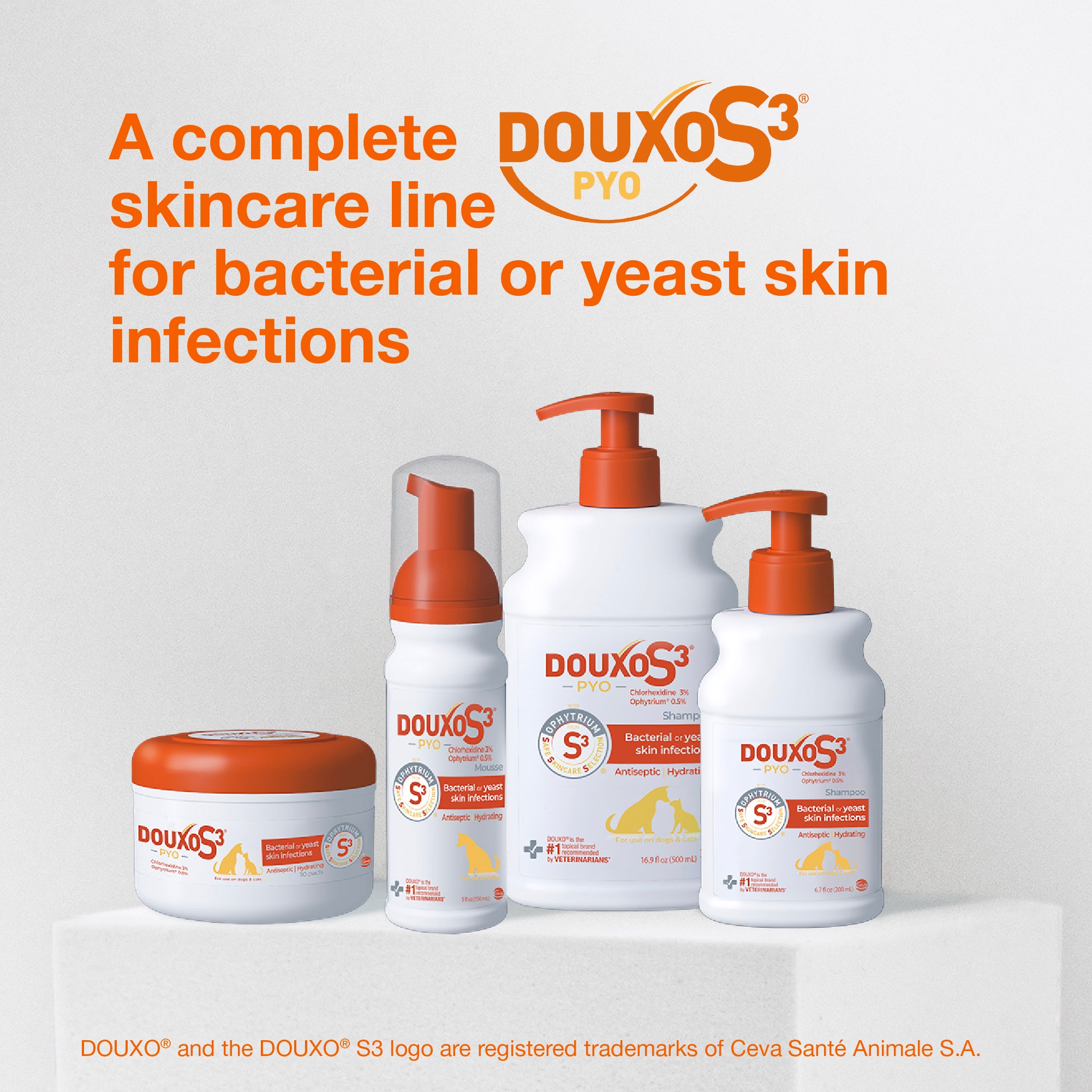 sm-image-21d96fb94042d3743a265494 DOUXO® S3 PYO Mousse