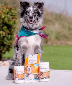ThunderBites® for Dogs - Hemp Calming Chews