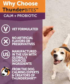 ThunderBites® Calm + Probiotic Daily Soft Chews for Dogs