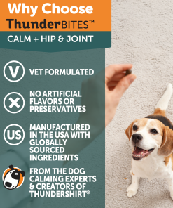 ThunderBites® Calm + Hip & Joint Daily Soft Chews for Dogs