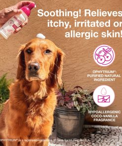 DOUXO® S3 CALM Mousse