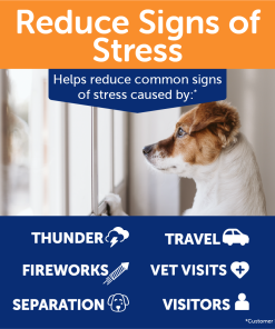 ThunderBites® for Dogs - Hemp Calming Chews