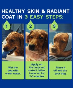 Dog grooming instructions with three steps on a blue background. Step 1 Wet the dog with warm water. Step 2: Apply on the body and make it lather. Leave on for 2-3 minutes. Step 3: Rinse it off and dry your dog.