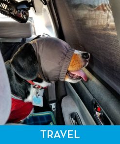 ThunderCap for Dogs