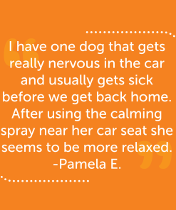 Dog Travel Calming Bundle