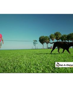 Dial-A-Distance Retractable Leash