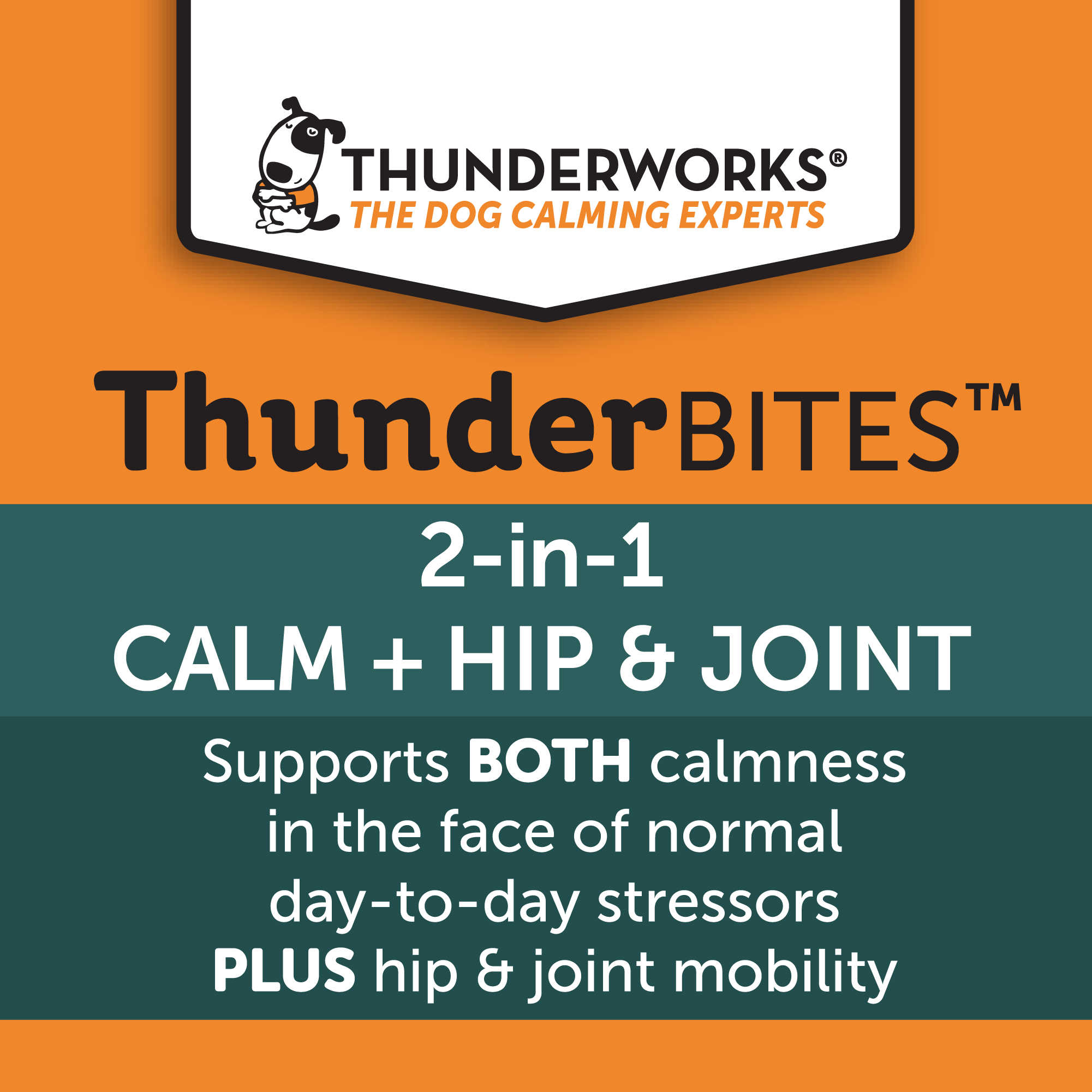 sm-image-5fbbc97f4858caa5ff27d505 ThunderBites® Calm + Hip & Joint Daily Soft Chews for Dogs