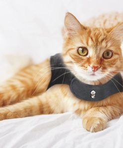 ThunderShirt® for Cats