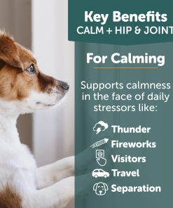 ThunderBites® Calm + Hip & Joint Daily Soft Chews for Dogs