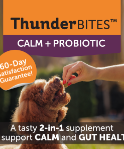 ThunderBites® Calm + Probiotic Daily Soft Chews for Dogs
