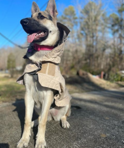 ThunderShirt and ThunderCoat Combo - Final Sale