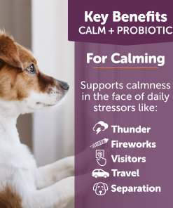 ThunderBites® Calm + Probiotic Daily Soft Chews for Dogs