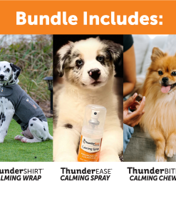 Summer Survival Bundle