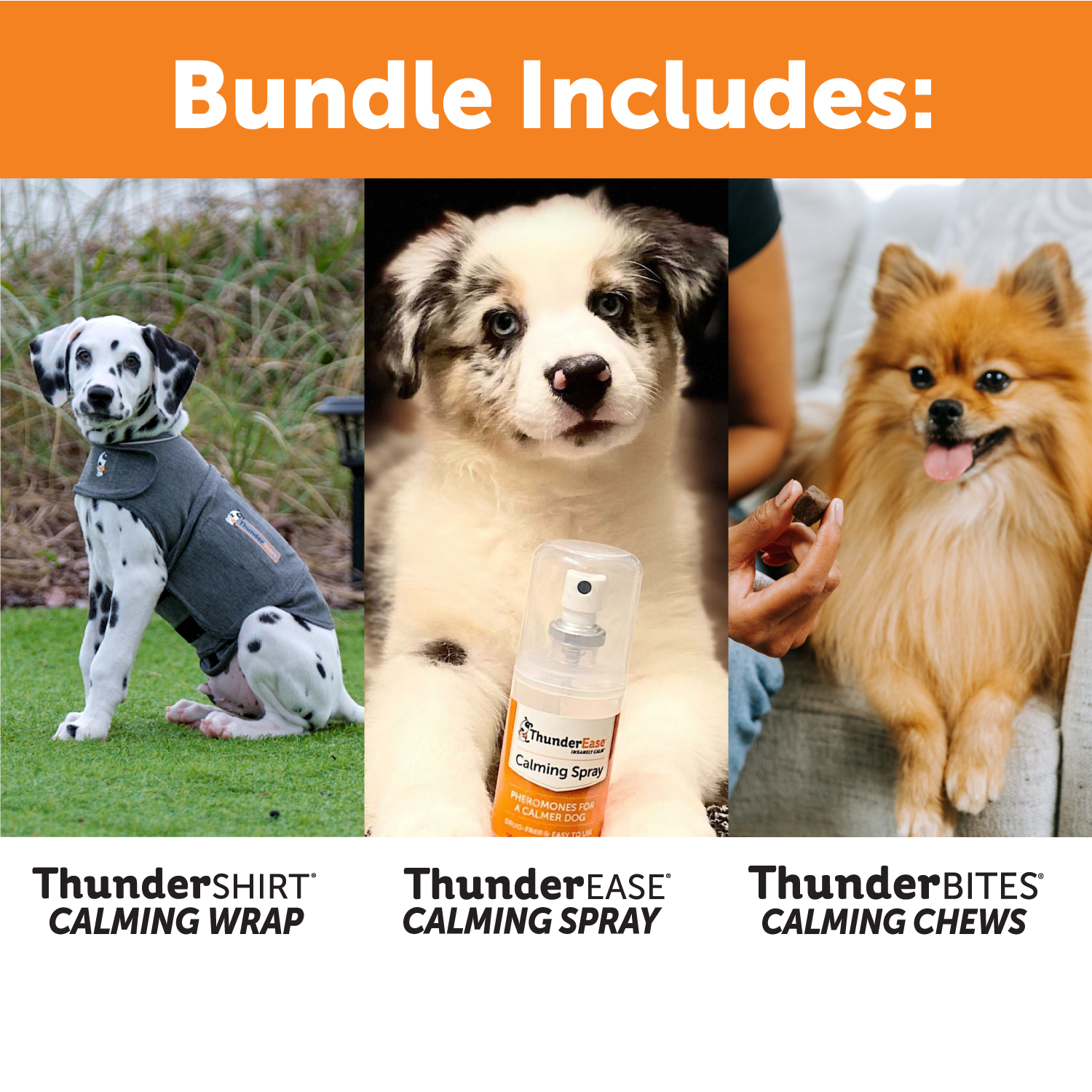sm-image-a04fbe1e21ed9f92e703f912 Summer Survival Bundle