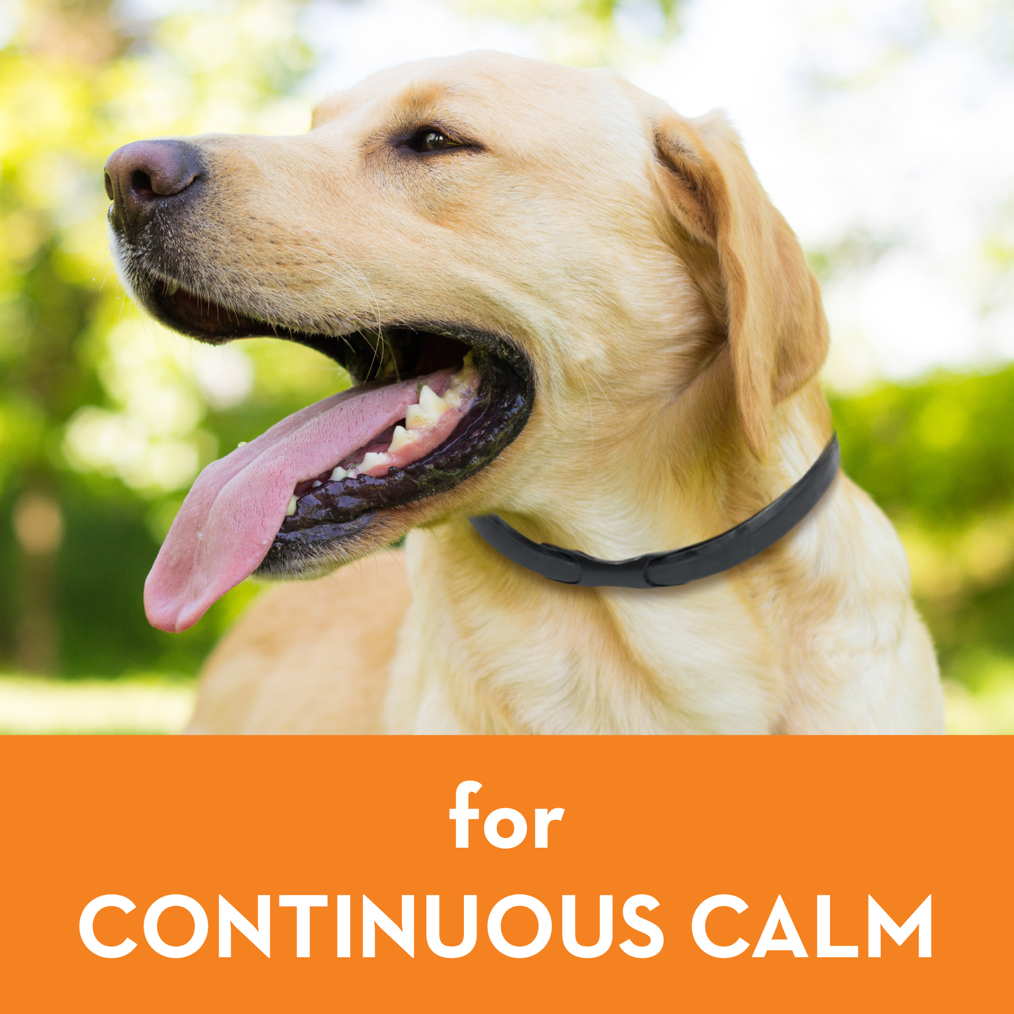 sm-image-ae1dfe999c7f6af524915c9a ThunderEase® for Dogs - Calming Collar