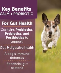 ThunderBites® Calm + Probiotic Daily Soft Chews for Dogs