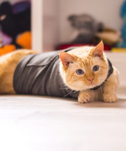 ThunderShirt® for Cats