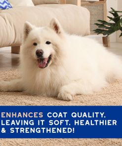 DOUXO® Skin & Coat SPA Shed Control Shampoo