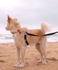 ThunderLeash®