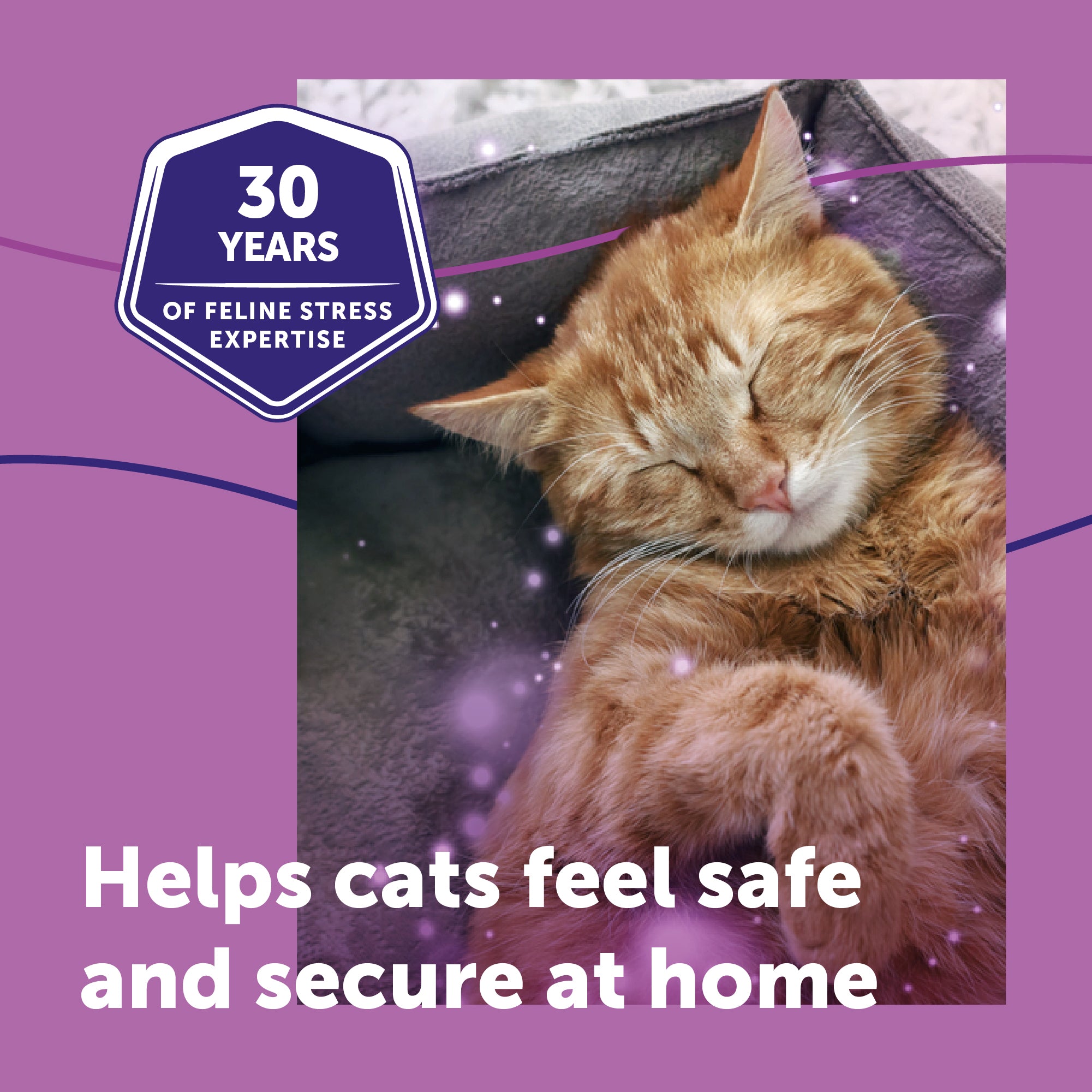 sm-image-f4bb1c8d92fb7cdf280439be FELIWAY® Classic Spray