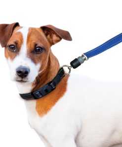 ThunderSnap Quick-Connect Leash for Dogs